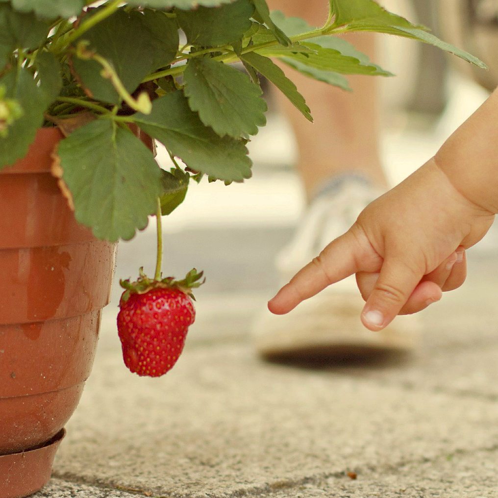 super Rezepte für Kinder